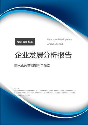 丽水永收营销策划工作室企业发展与营销策略分析报告