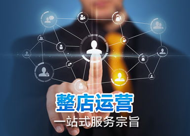 天猫淘宝网店运营公司团队的组成与企业营销策划